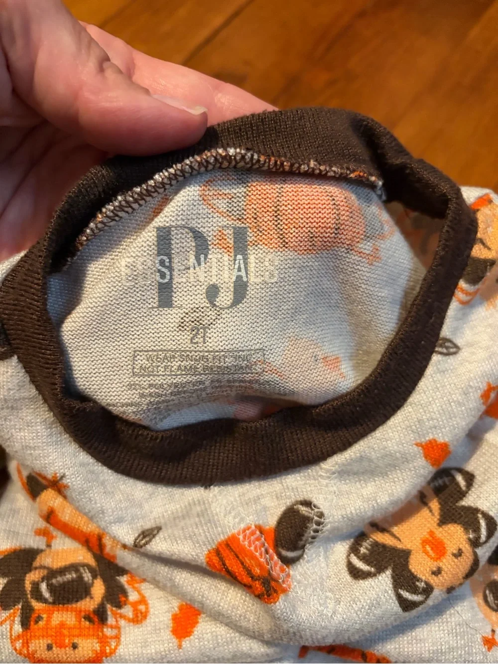 EUC Toddler Halloween & Thanksgiving Pajama Set